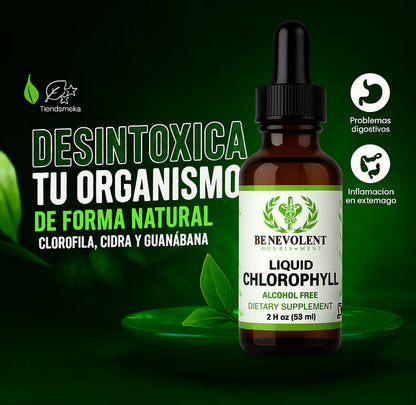 Clorofila Liquida Benevolent | Vitalidad y frescura desde la naturaleza 🌿