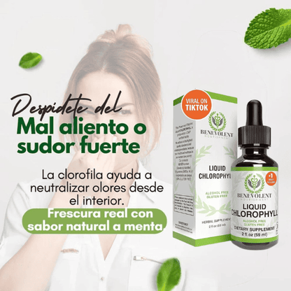 Clorofila Liquida Benevolent | Vitalidad y frescura desde la naturaleza 🌿